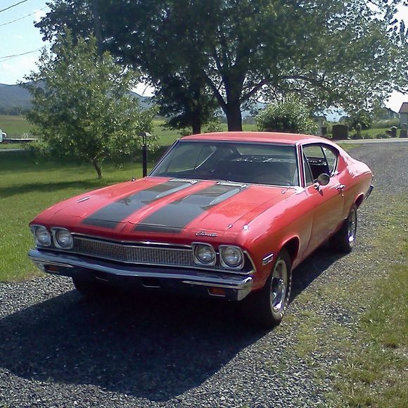 Meet your Posher, John - Picture 1 of 1